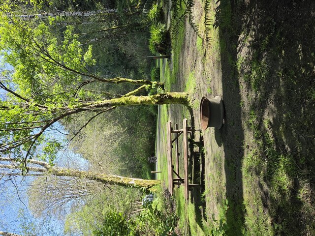 Image 1 for Alderwoods More Private Tent Site