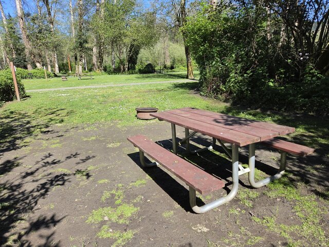 Image 1 for Alderwoods More Private Tent Site