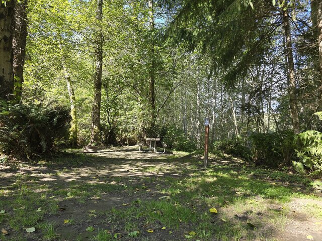 Image 1 for Alderwoods Standard Tent Site