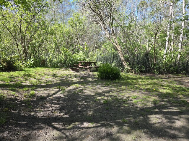 Image 3 for Riverwoods Remote Tent Site