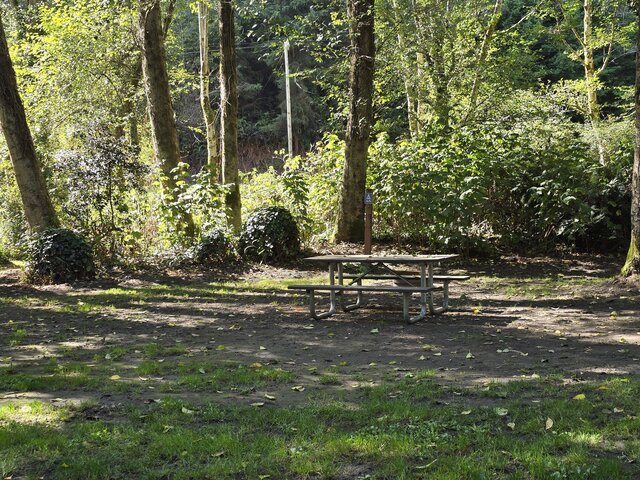 Image 5 for Alderwoods Water+Elec. Tent Site