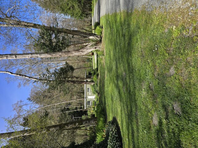 Image 1 for Alderwoods Water+Elec. Tent Site