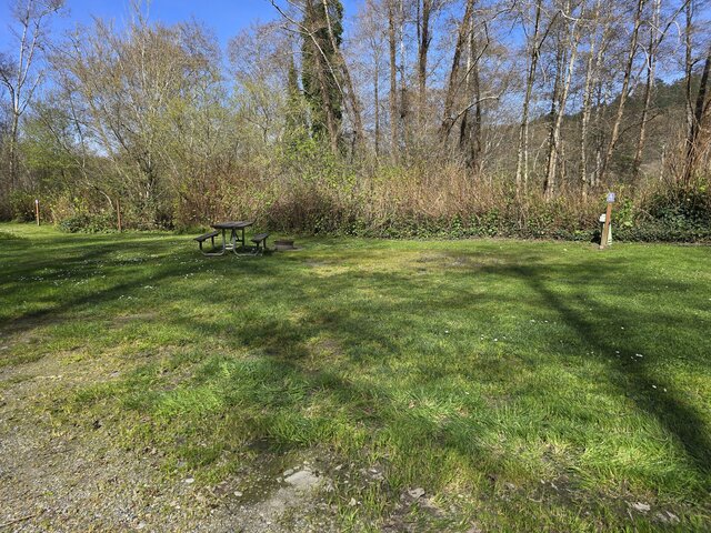Image 1 for Alderwoods Standard Back-in RV Site 45'