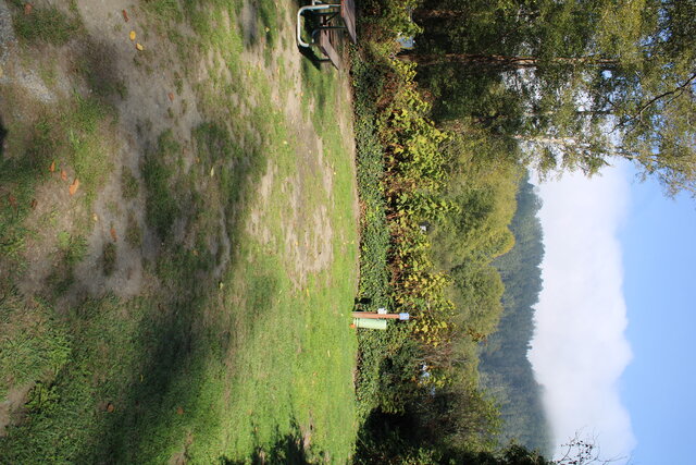 Image 4 for Alderwoods Standard Back-in RV Site 45'