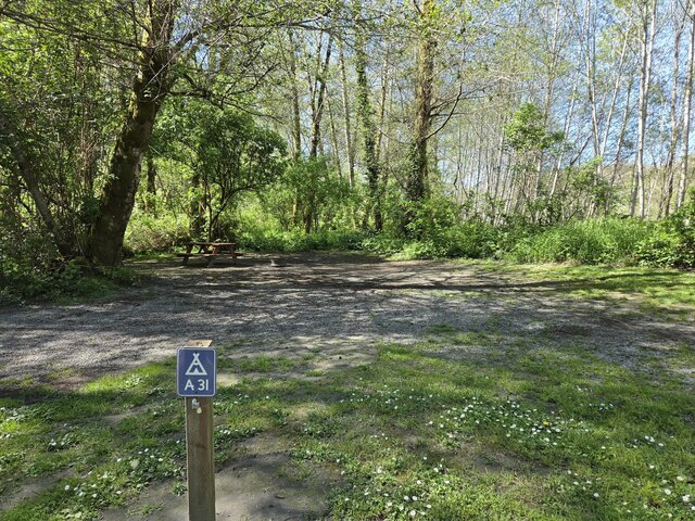 Image 6 for Alderwoods More Private Tent Site