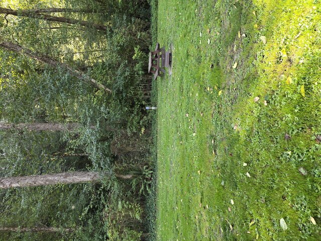 Image 4 for Cathedral Standard Tent Sites