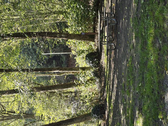 Image 4 for Alderwoods Water+Elec. Tent Site