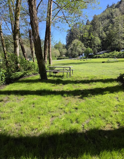 Image 4 for Glen Standard Tent Site