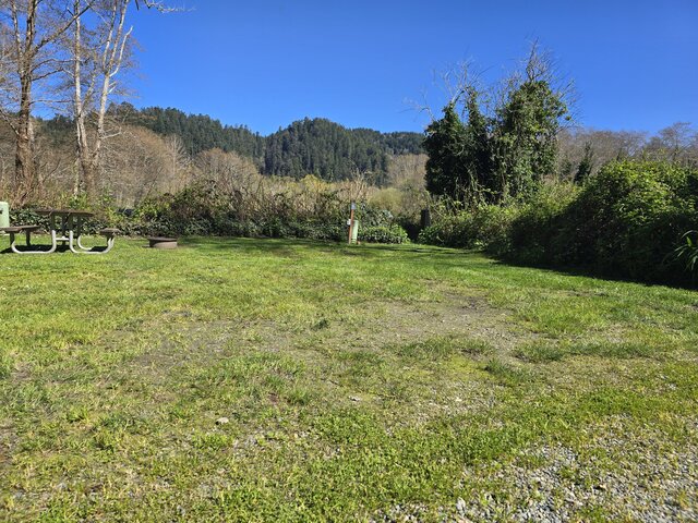 Image 2 for Alderwoods Standard Back-in RV Site 45'