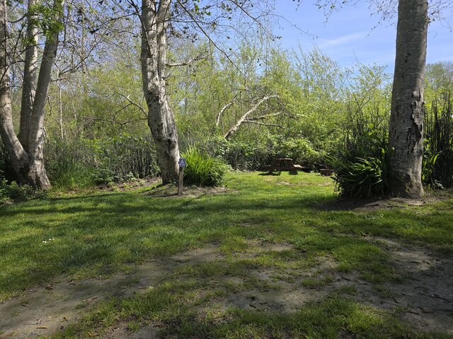 Image 2 for Riverwoods Remote Tent Site