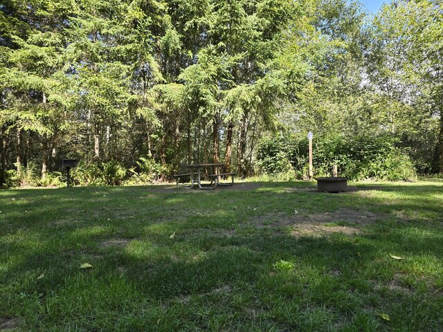 Image 1 for Alderwoods Water+Elec. Tent Site
