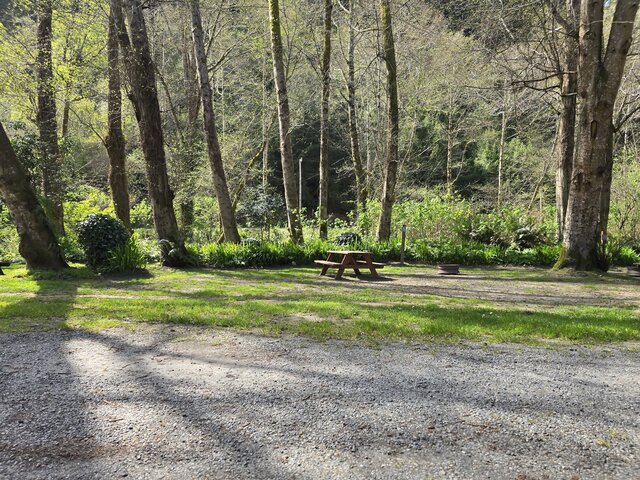 Image 2 for Alderwoods Water+Elec. Tent Site