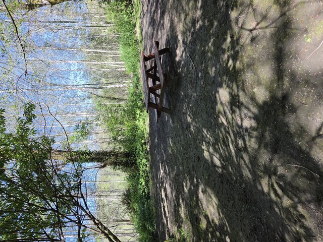 Image 1 for Alderwoods More Private Tent Site