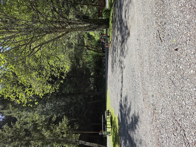 Image 3 for Mesa Standard Pull-through RV Site 45'