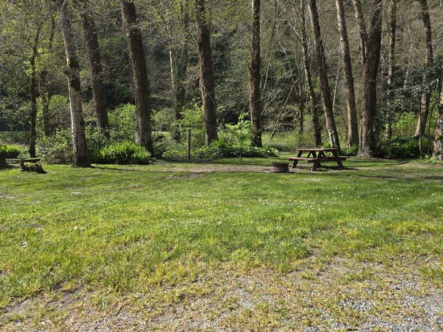Image 1 for Alderwoods Water+Elec. Tent Site
