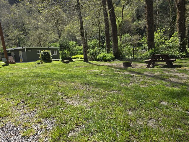 Image 5 for Alderwoods Water+Elec. Tent Site
