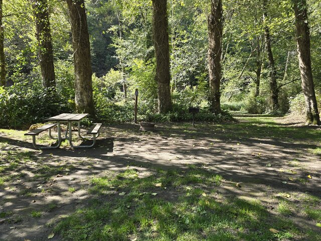 Image 2 for Alderwoods Water+Elec. Tent Site