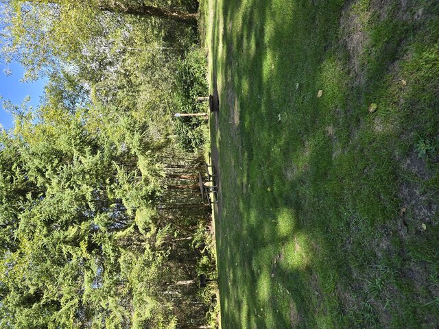 Image 3 for Alderwoods Water+Elec. Tent Site
