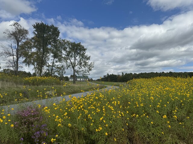 Image 1 for 07 Vermont Modern Farmhouse