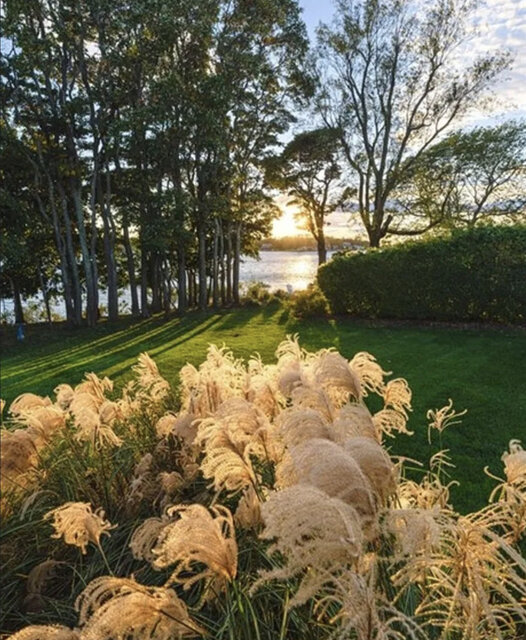 Image 24 for Sunset Cottage