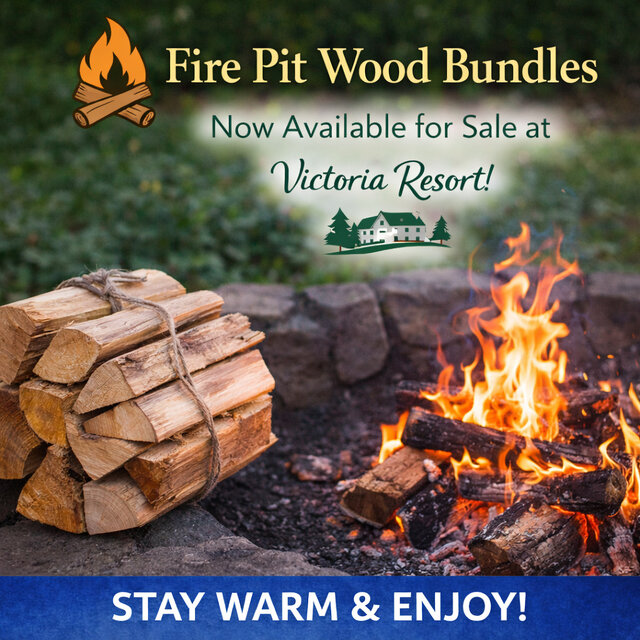 Image 1 for Firewood Bundle