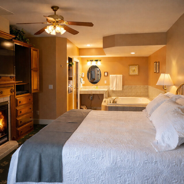 Image 6 for King Deluxe 205