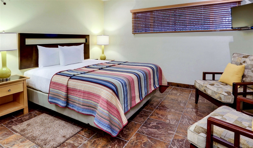 A hotel room with a bed, nightstand, lamp, chair, and TV