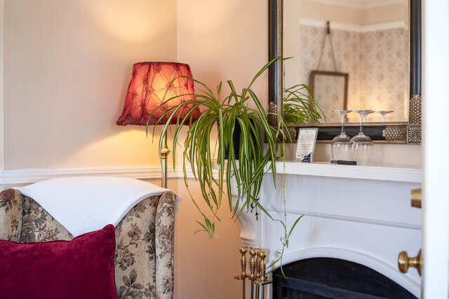 Image 3 for Patricia Stofle Room