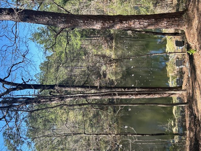 Image 24 for Turquoise Cottage 3 bed 2 bath Lake View