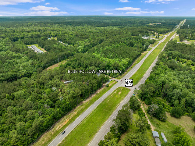 Image 10 for Sapphire Cottage 2bd 2ba Forest View