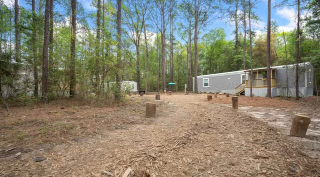 Image 14 for Sapphire Cottage 2bd 2ba Forest View