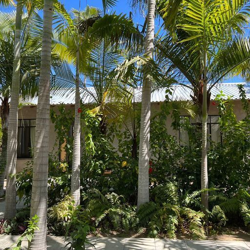 Image 16 for Casa Dios