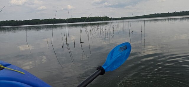 Image 6 for Lake Activities