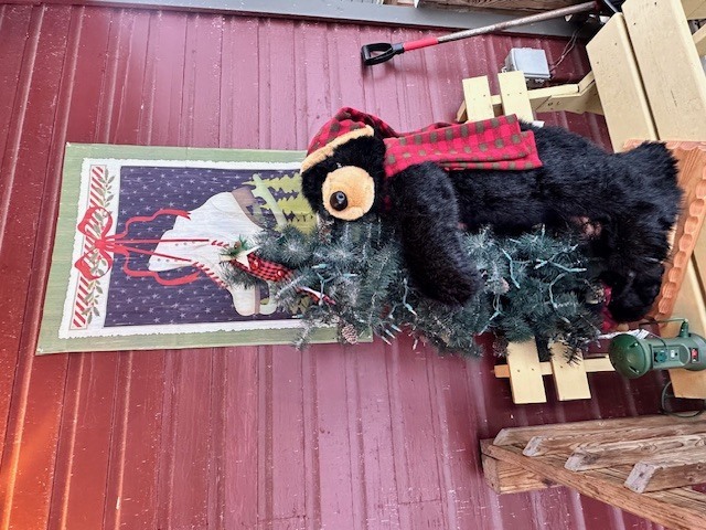 Image 4 for Lodge #1