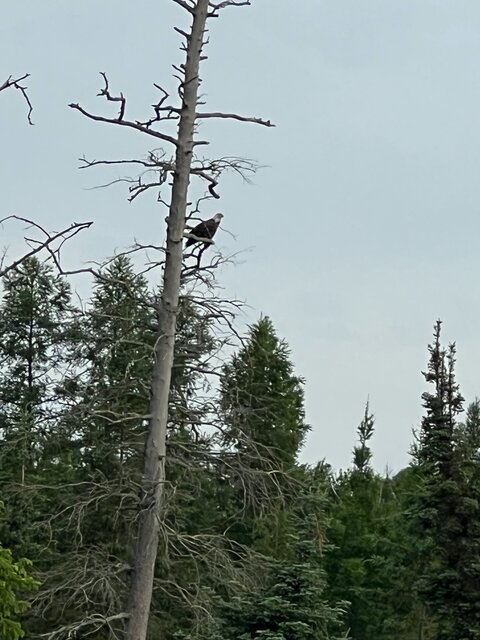 Image 12 for Events & Happenings!