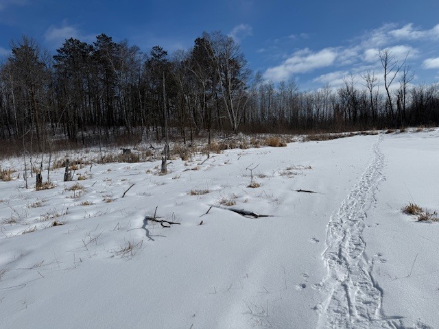 Image 3 for Winter Happenings