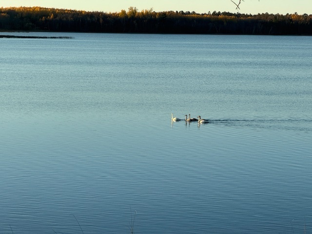 Image 18 for Events & Happenings