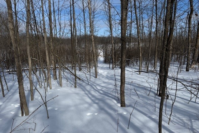 Image 4 for Winter Happenings