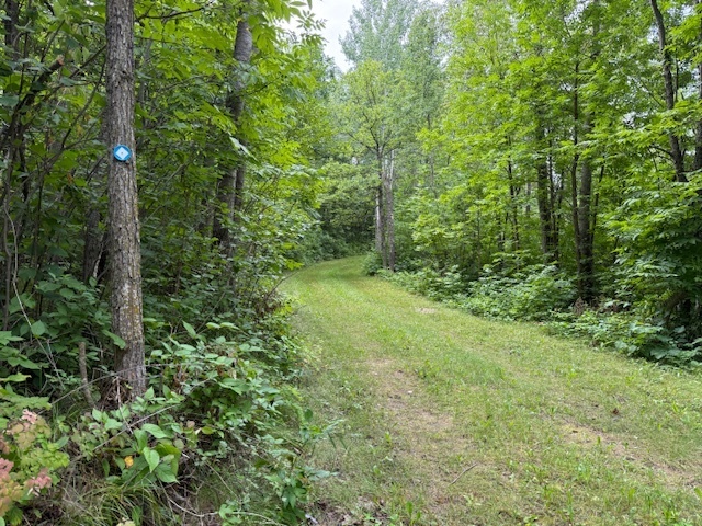 Image 10 for GO Days