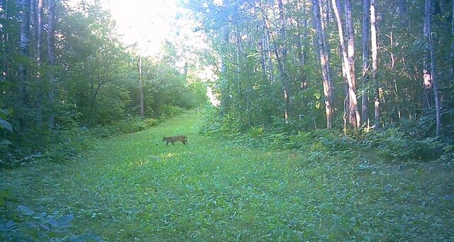 Image 22 for Events & Happenings