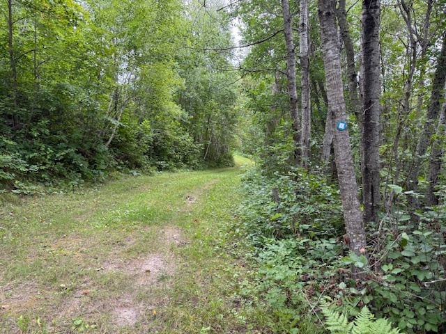 Image 4 for Exciting New Projects!