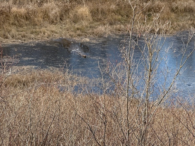 Image 8 for Events & Happenings