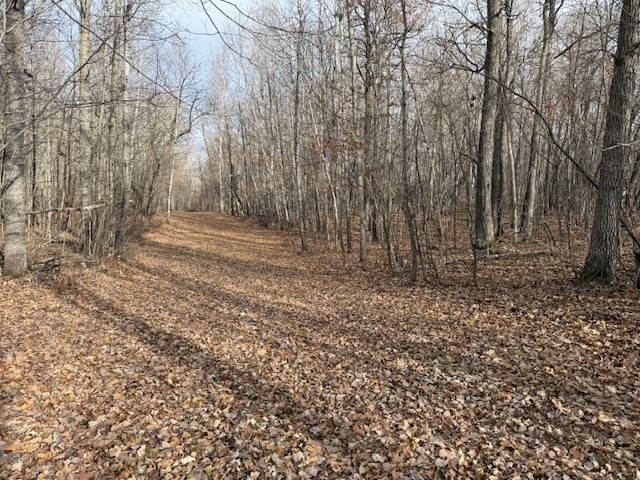 Image 10 for Events & Happenings