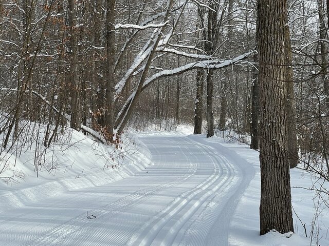 Image 4 for Events & Happenings