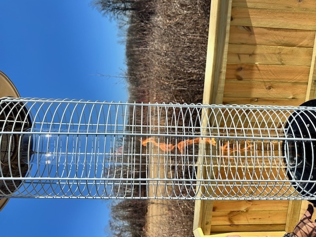 Image 9 for Exciting New Projects!