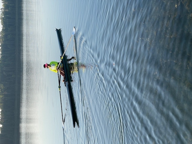 Image 1 for Rowing Fun