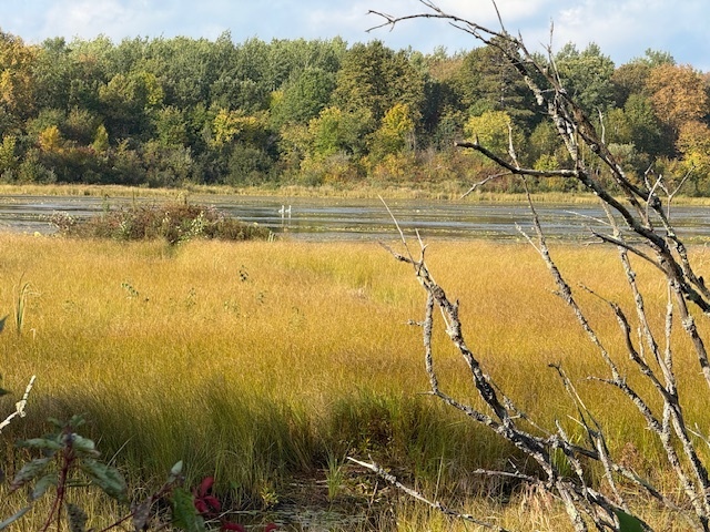 Image 7 for Exciting New Projects!