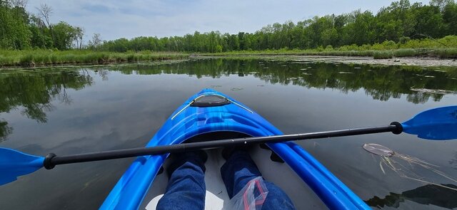 Image 6 for Events & Happenings!