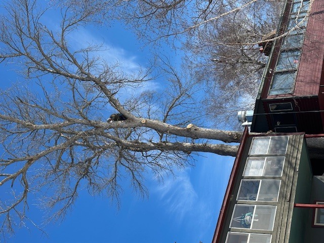 Image 1 for Exciting New Projects!