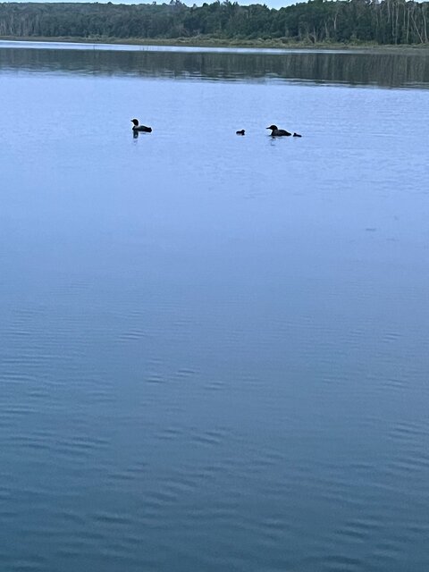 Image 11 for Events & Happenings!